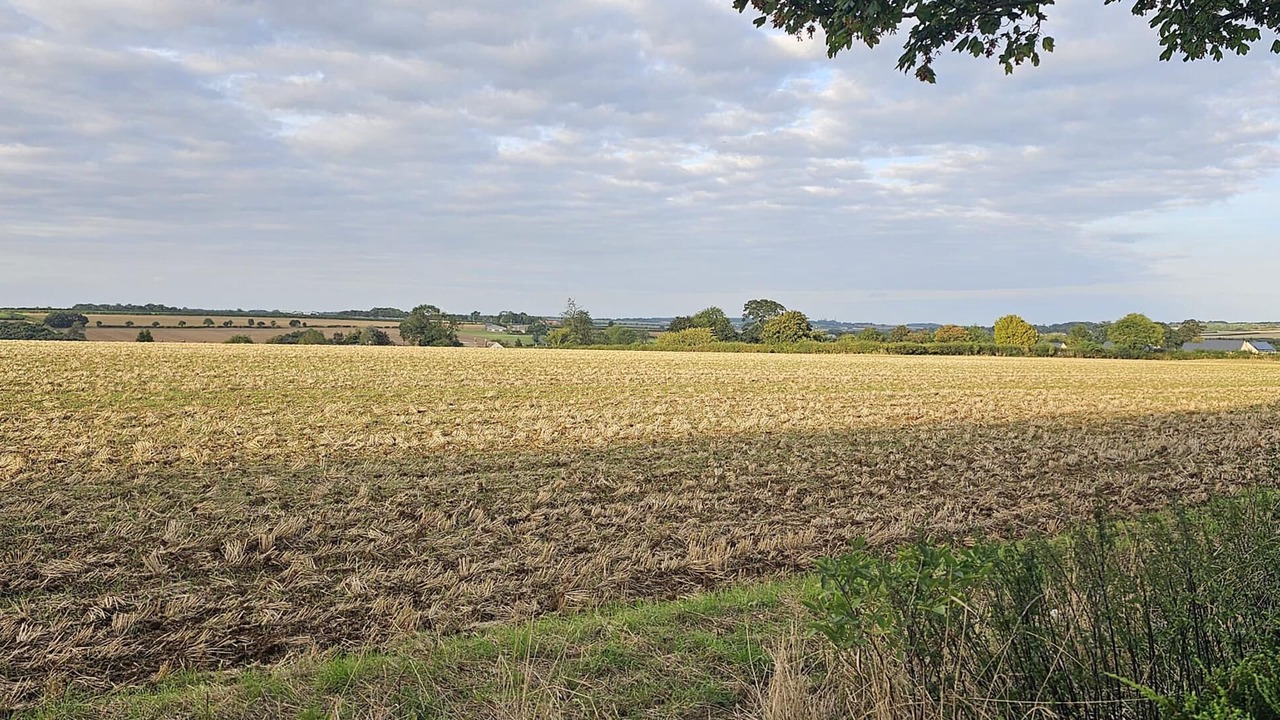 Photo of Others in Longdon