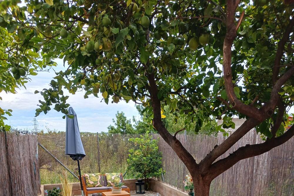 Photo of Patio Balcony in San Jorge