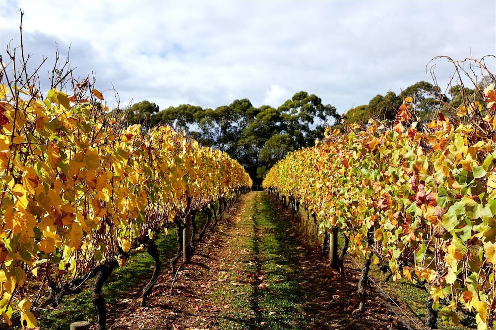 Photo of Outdoor in Hastings