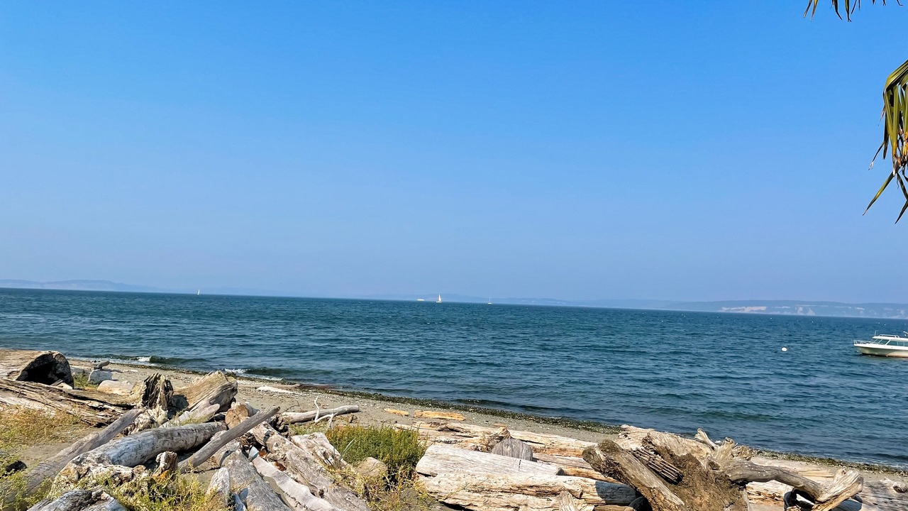 Photo of Others in Kingston