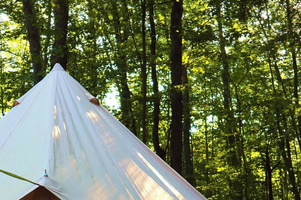 Photo of Others in Westmoreland