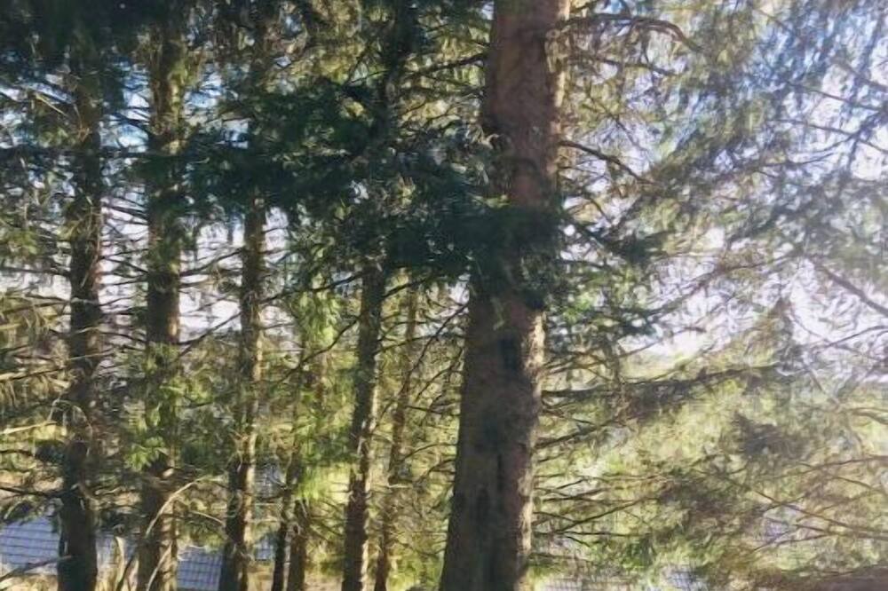 Photo of Outdoor in Arzenc-de-Randon