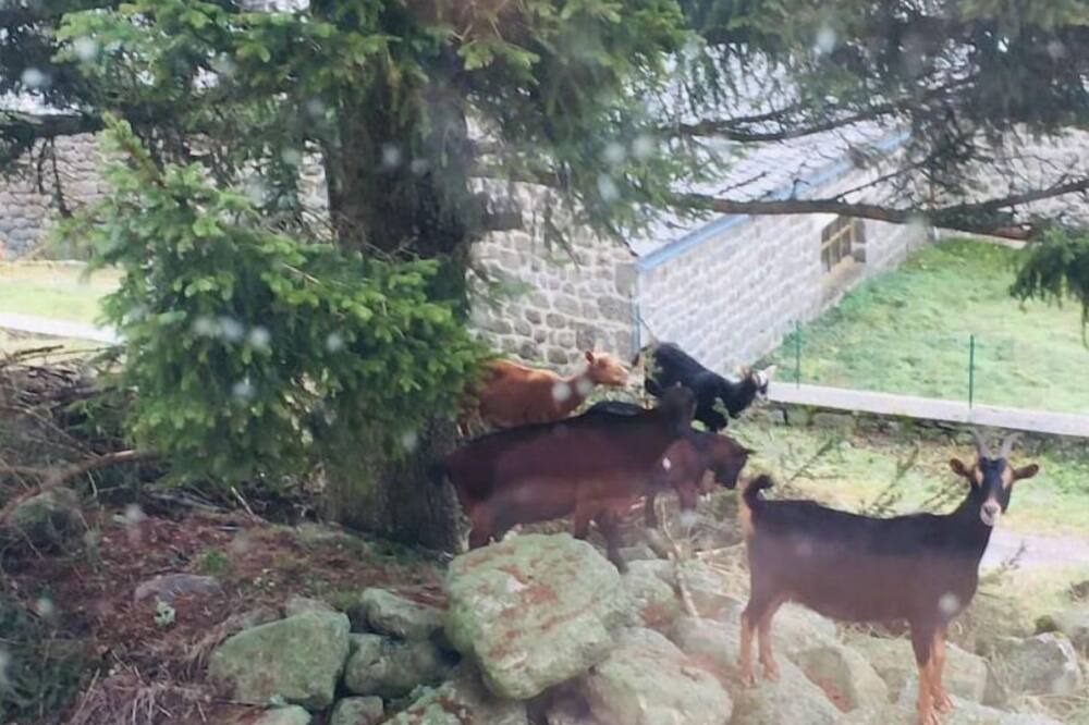 Photo of Outdoor in Arzenc-de-Randon