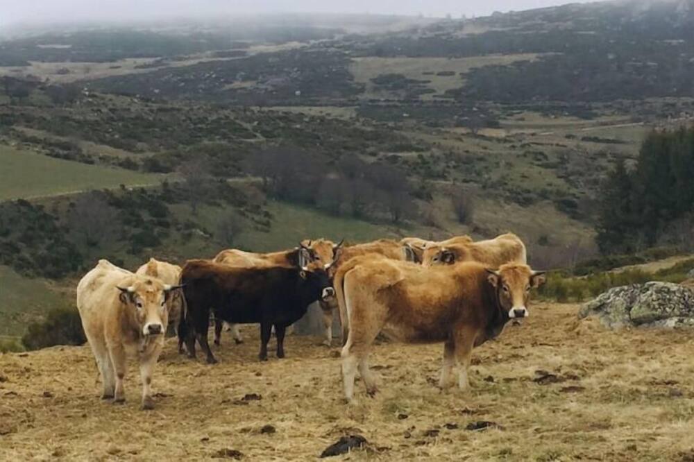 Photo of Outdoor in Arzenc-de-Randon