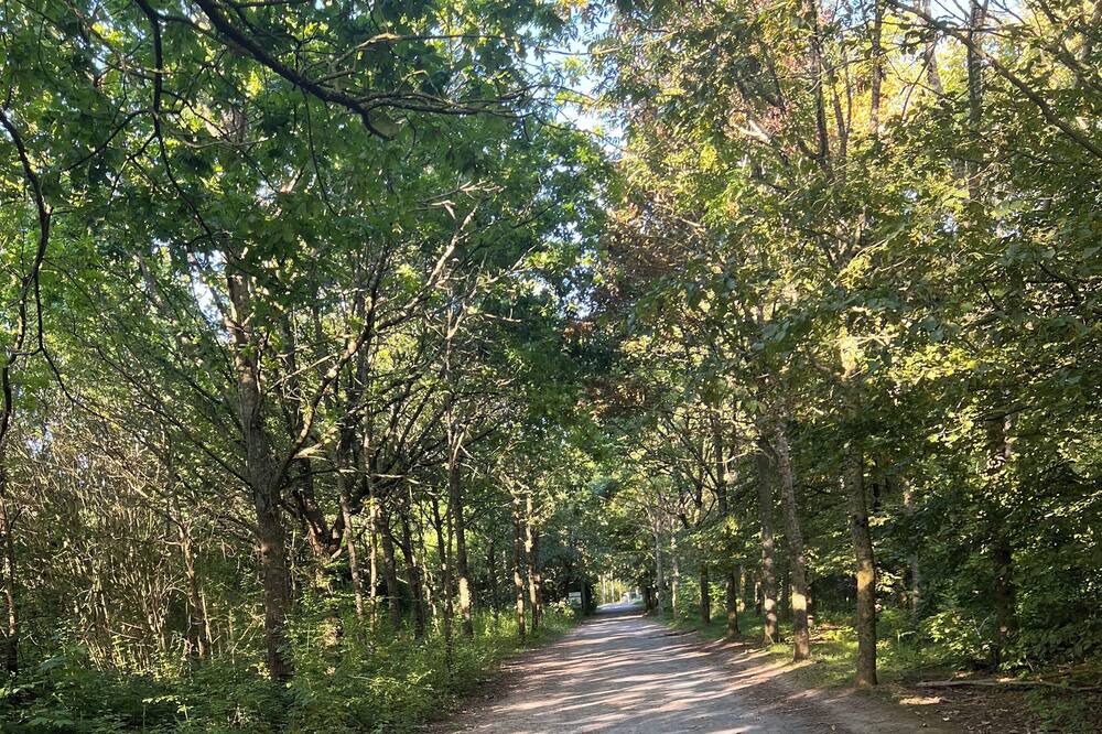 Photo of Others in Ifs