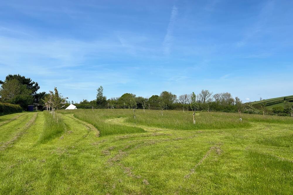 Photo of Others in Totnes