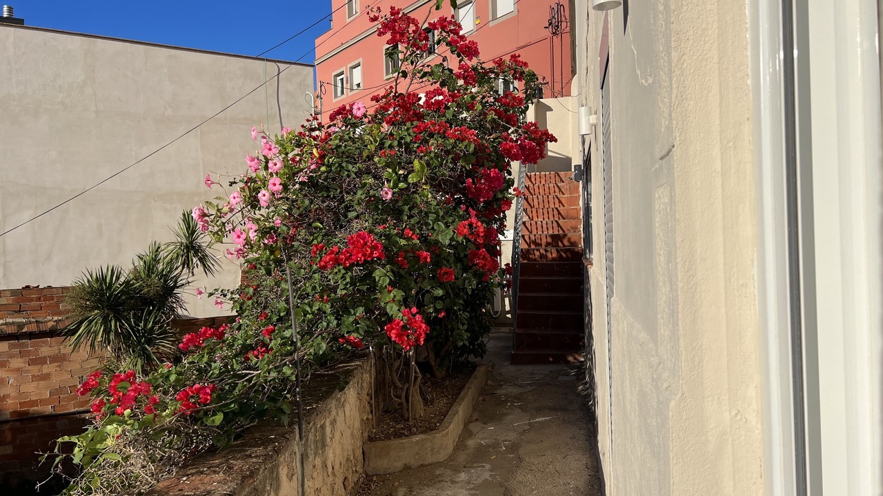 Photo of Outdoor in Horta-Guinardo