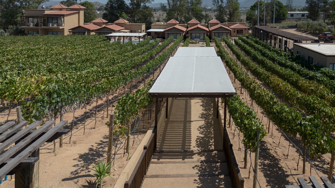 Photo of Outdoor in Valle de Guadalupe