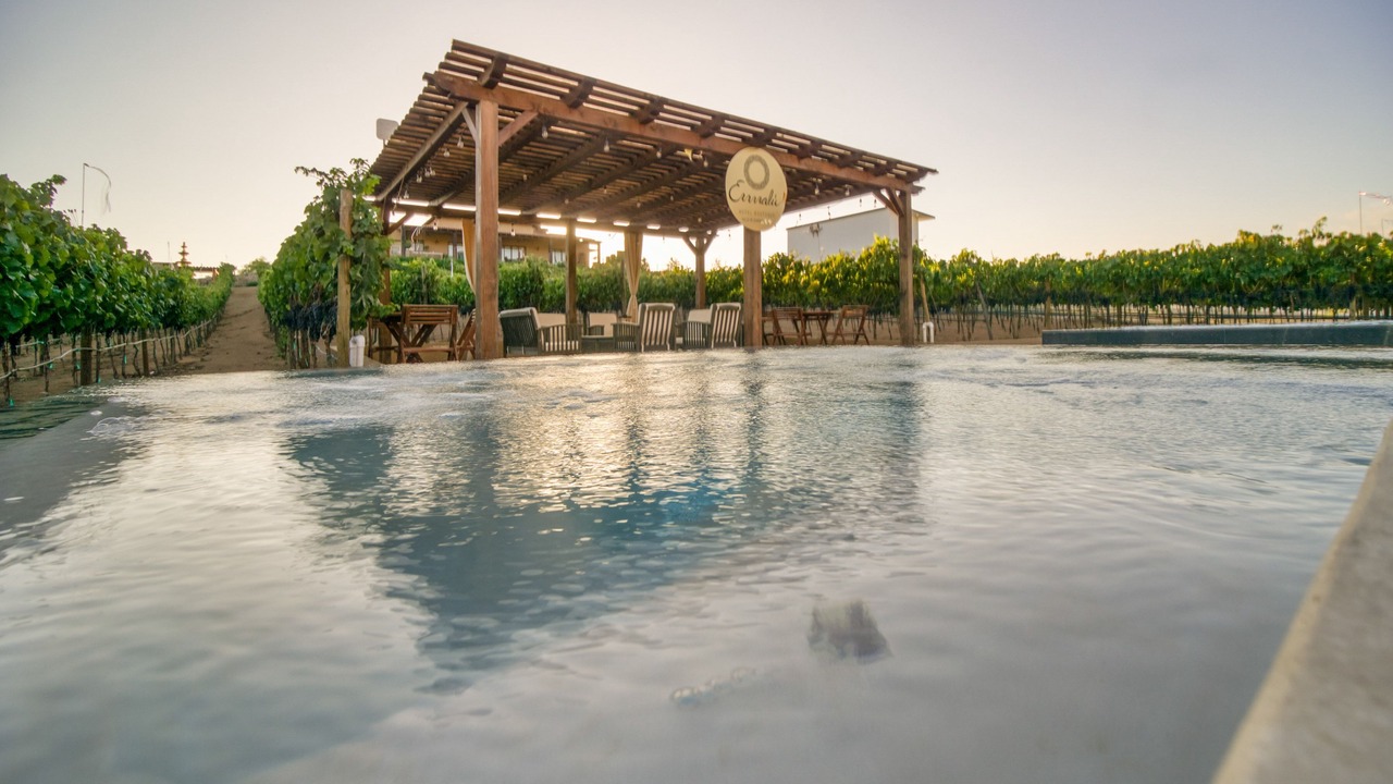 Photo of Outdoor in Valle de Guadalupe