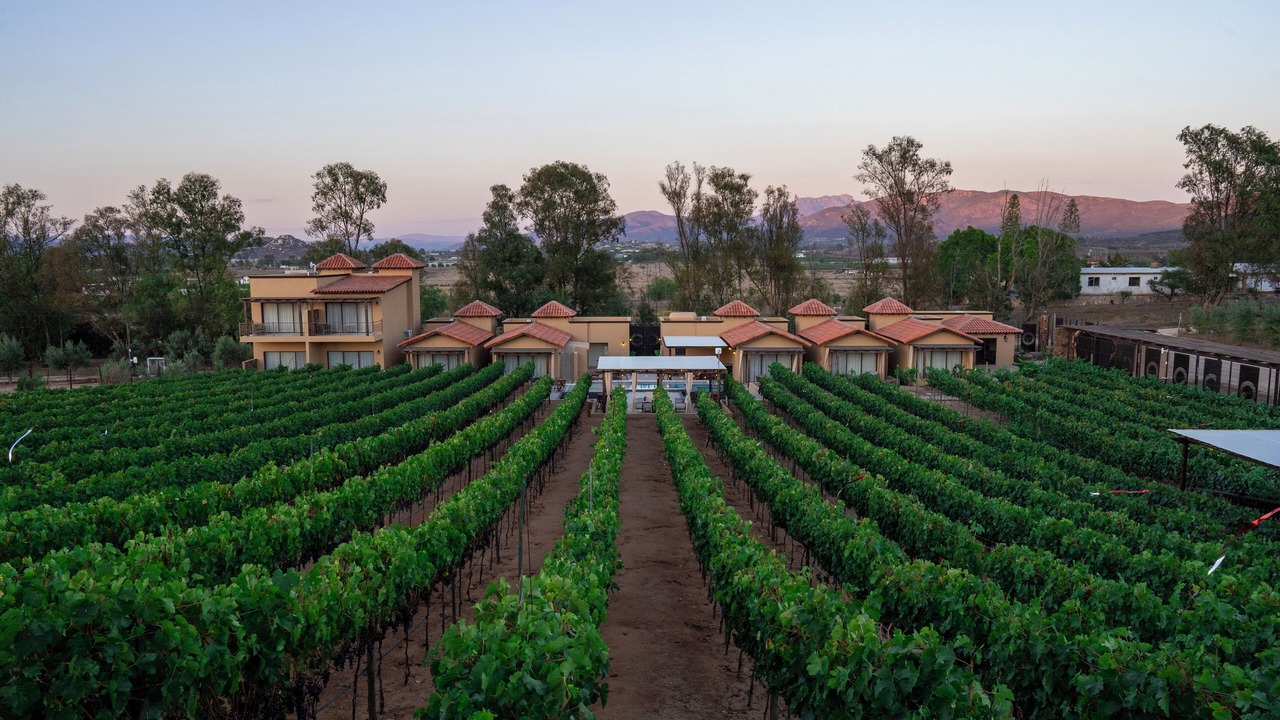 Photo of Outdoor in Valle de Guadalupe