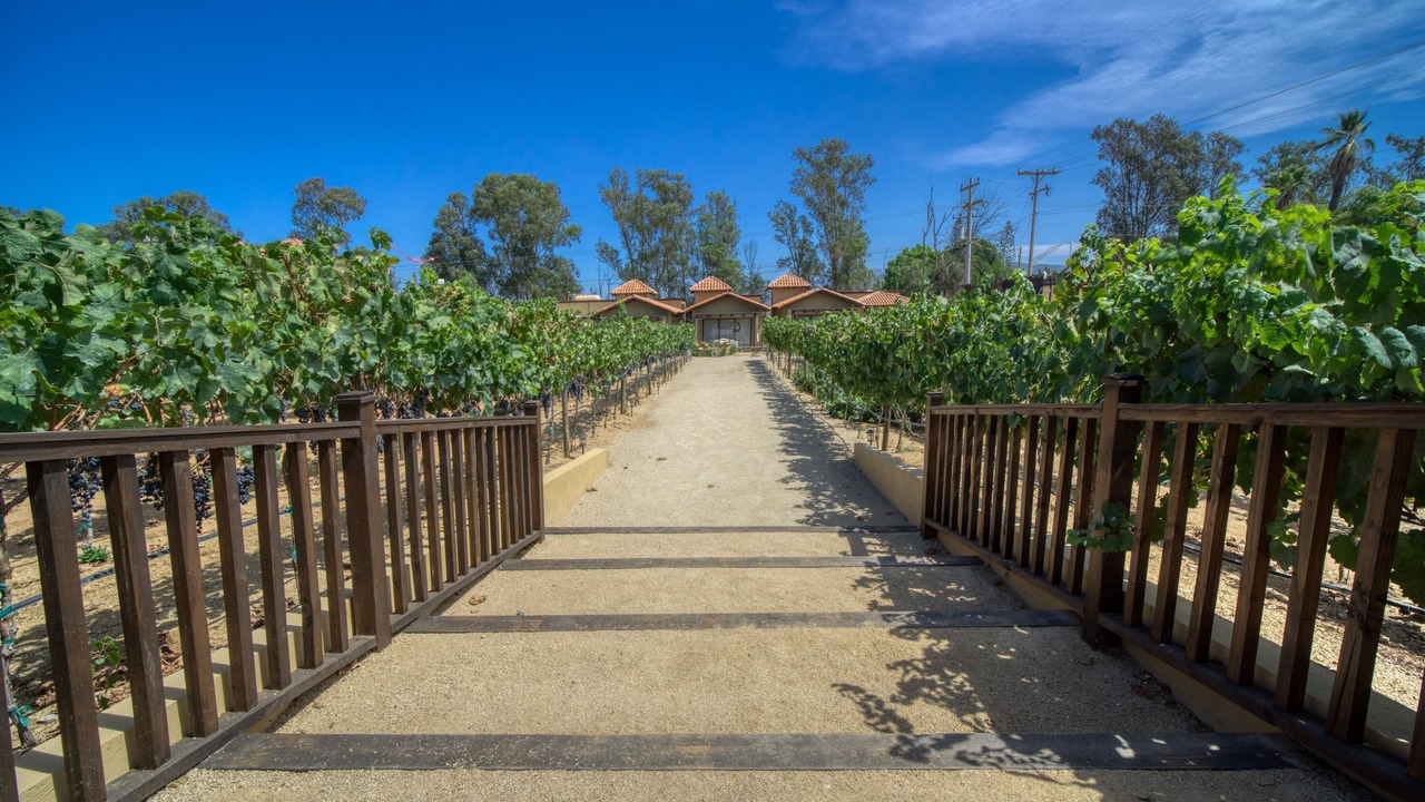 Photo of Outdoor in Valle de Guadalupe