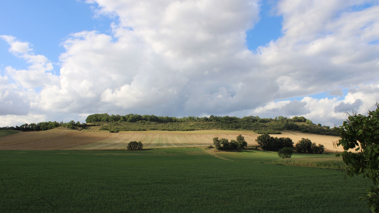 Photo of Others in Montdragon