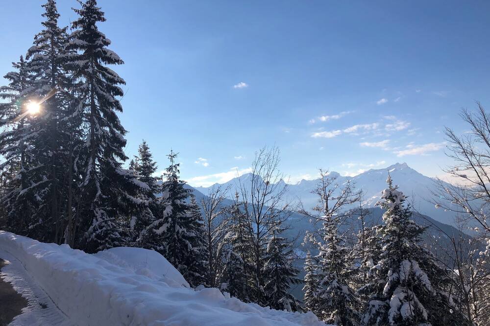 Photo of Others in Leysin