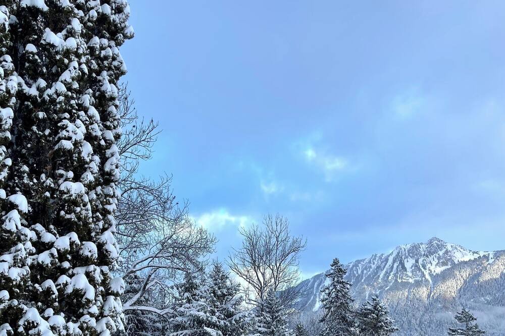 Photo of Others in Leysin