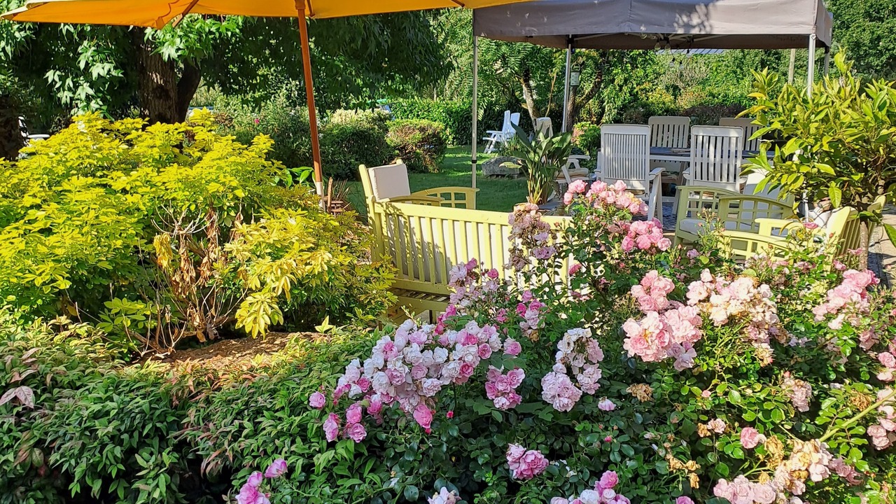 Photo of Outdoor in Treal