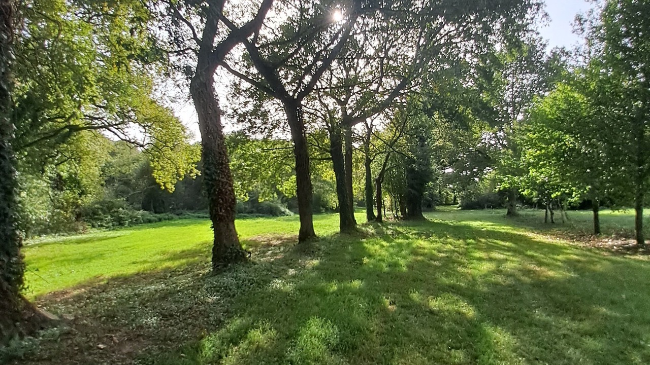 Photo of Outdoor in Treal