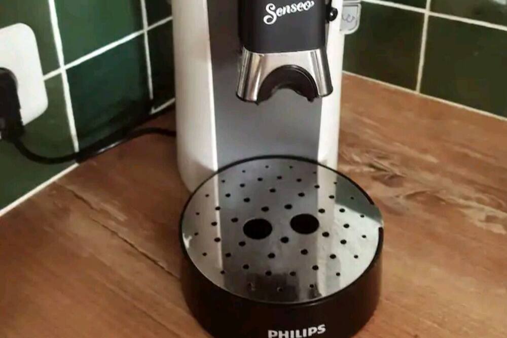 Photo of Others in Samsons-Lion