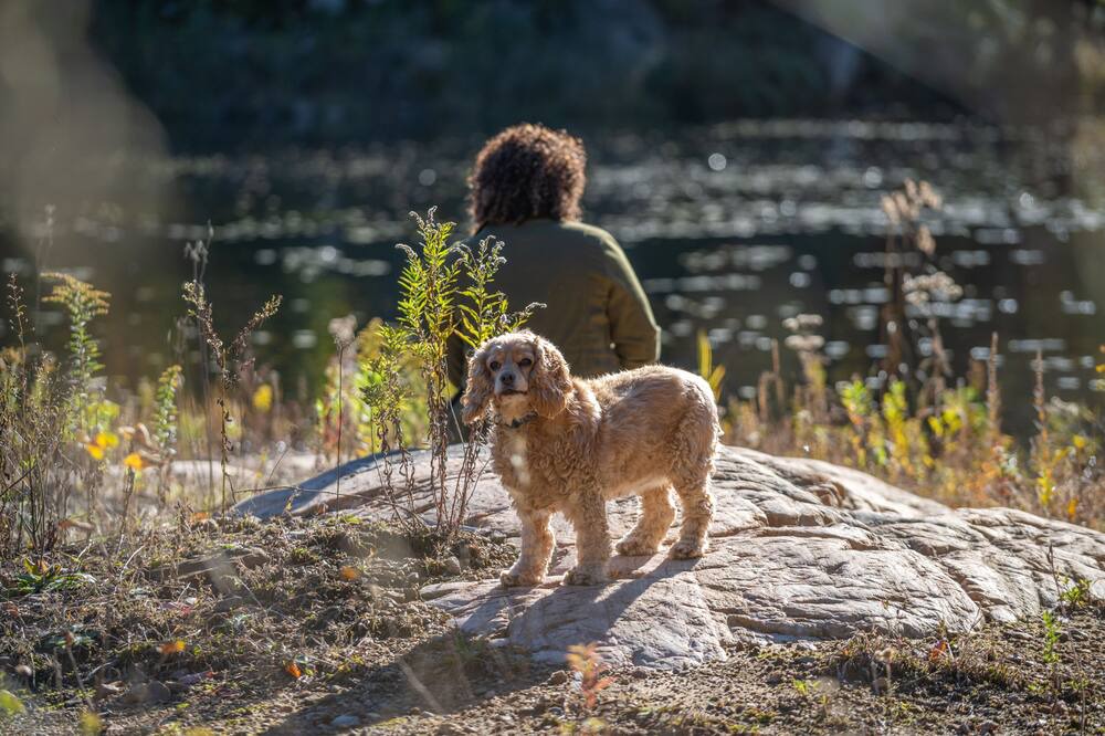 Photo of Others in Pointe-au-Chene