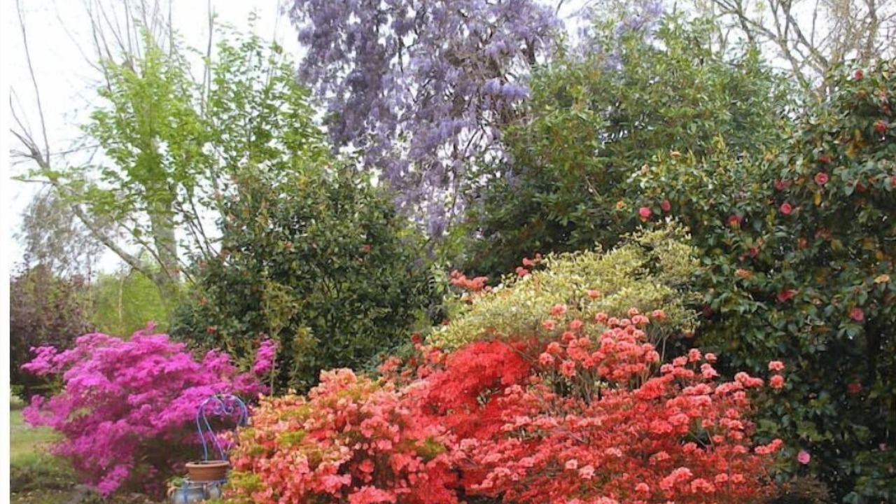 Photo of Outdoor in Parentis-en-Born