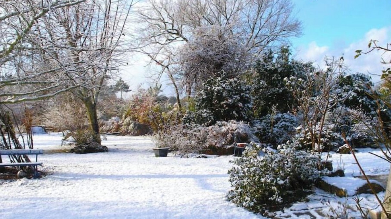 Photo of Outdoor in Parentis-en-Born