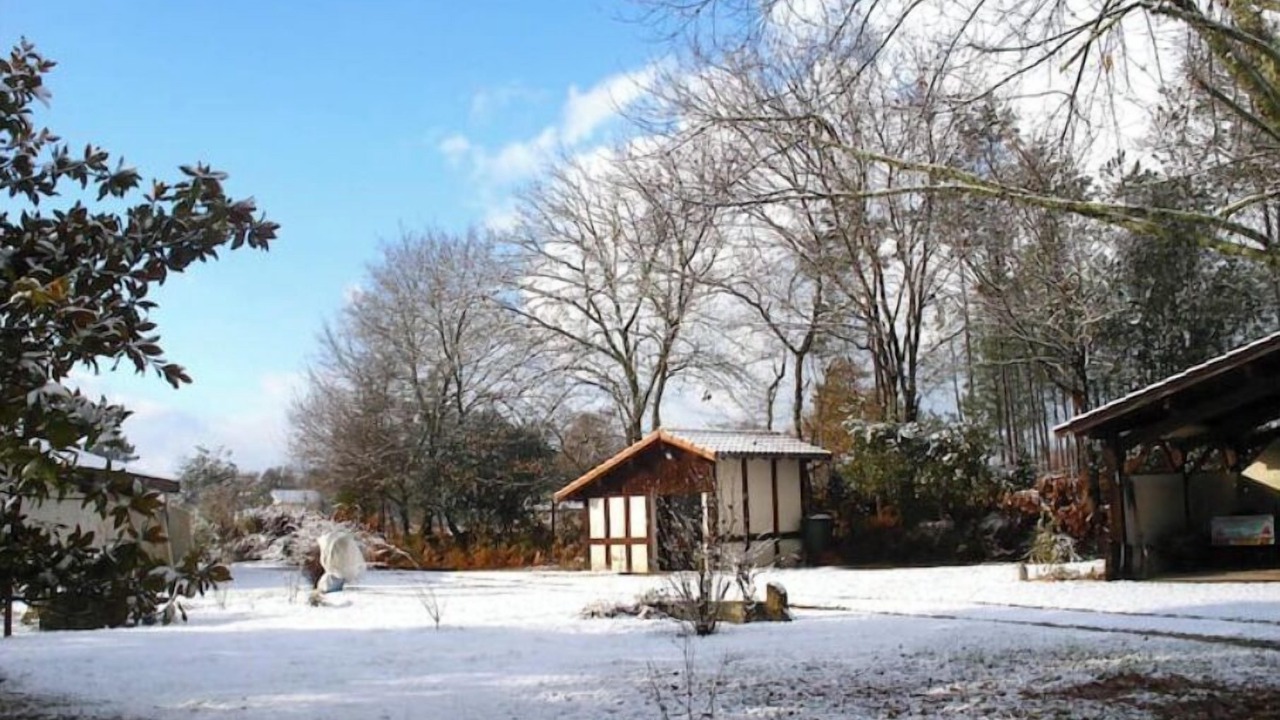 Photo of Outdoor in Parentis-en-Born