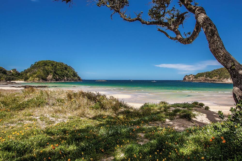 Photo of Others in Matapouri