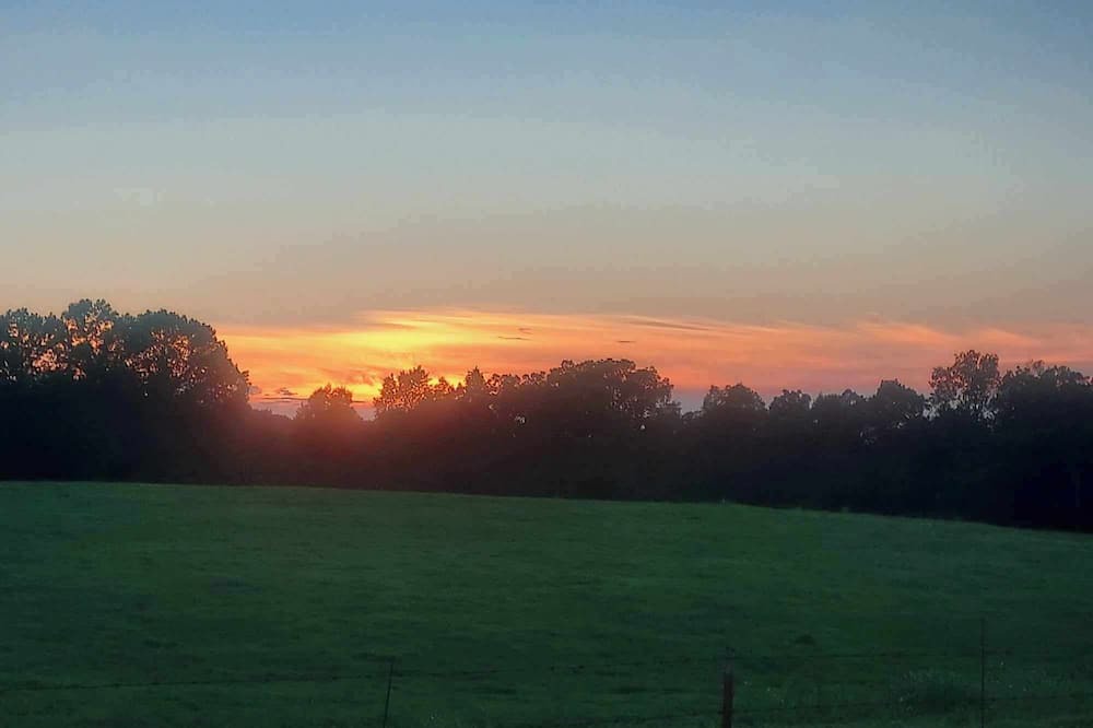 Photo of Outdoor in Gillham