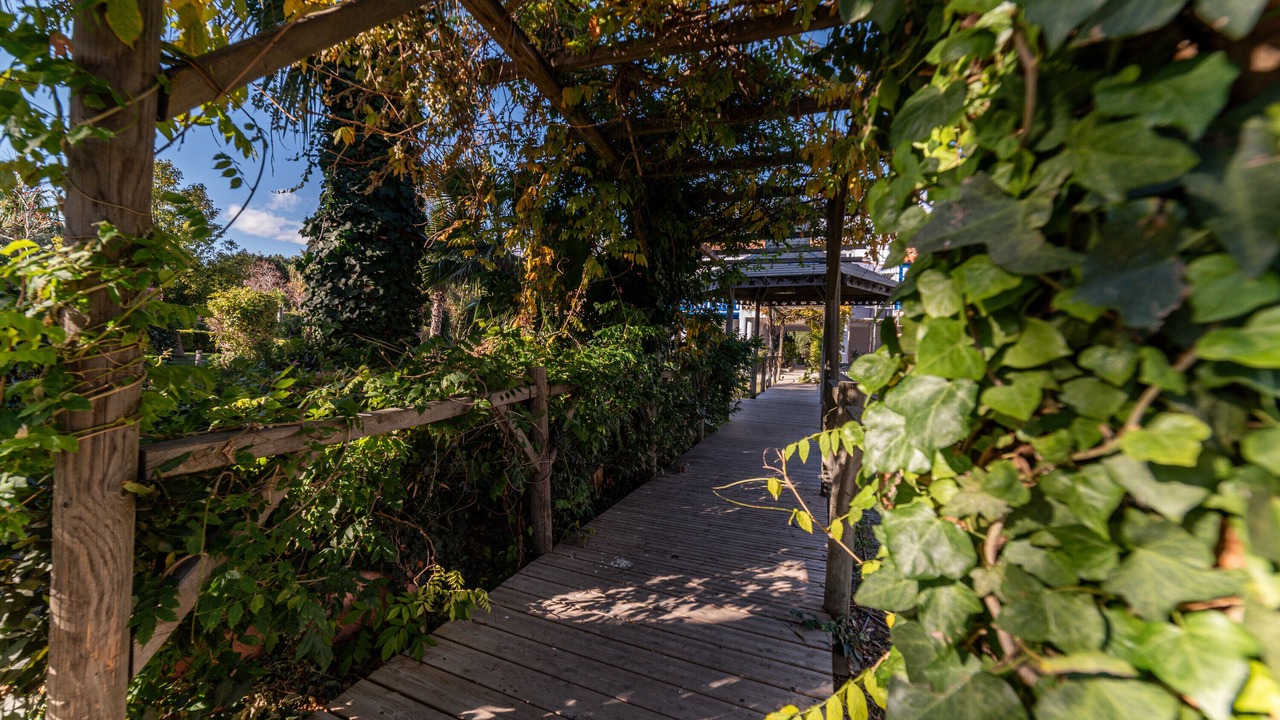 Photo of Outdoor in Les Hauts de Canet