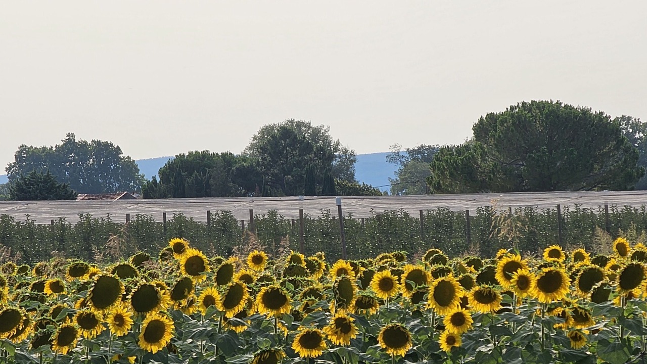 Photo of Outdoor in Lamotte-du-Rhone