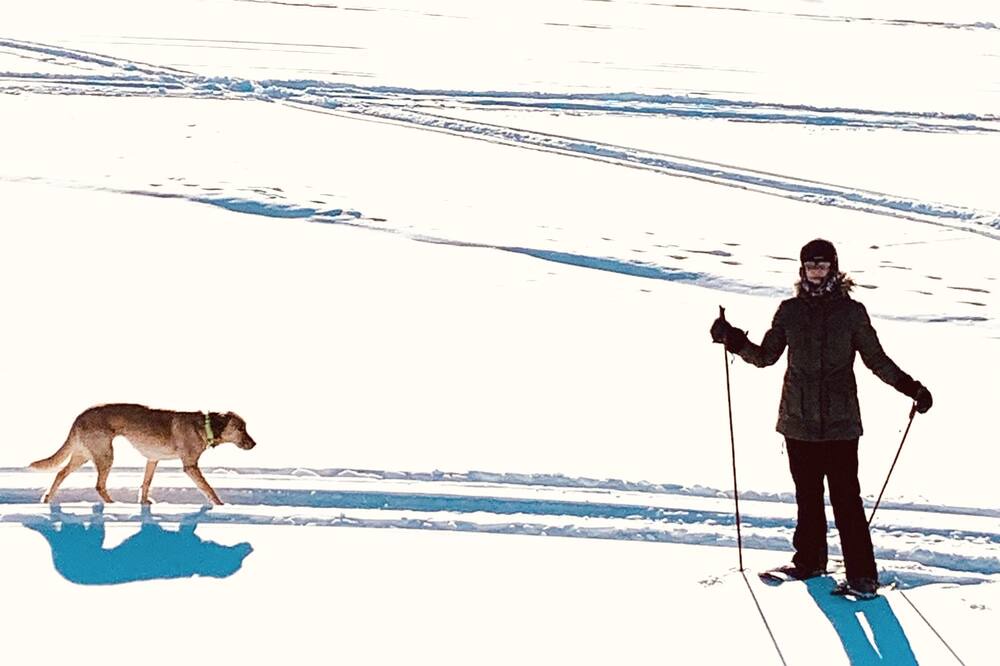 Photo of Others in Lac du Bonnet