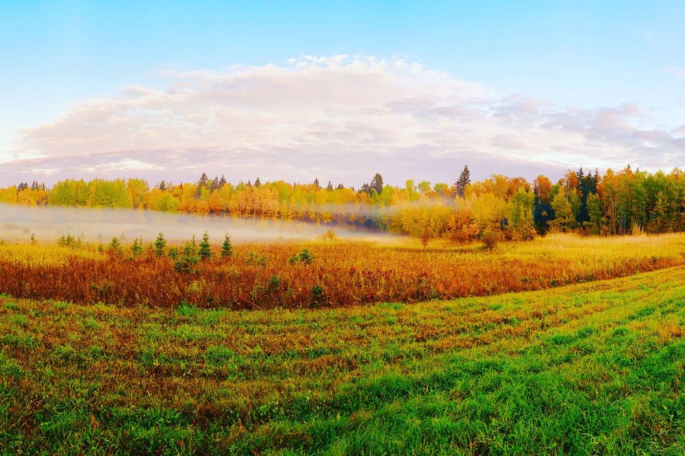 Photo of Outdoor in Lac du Bonnet