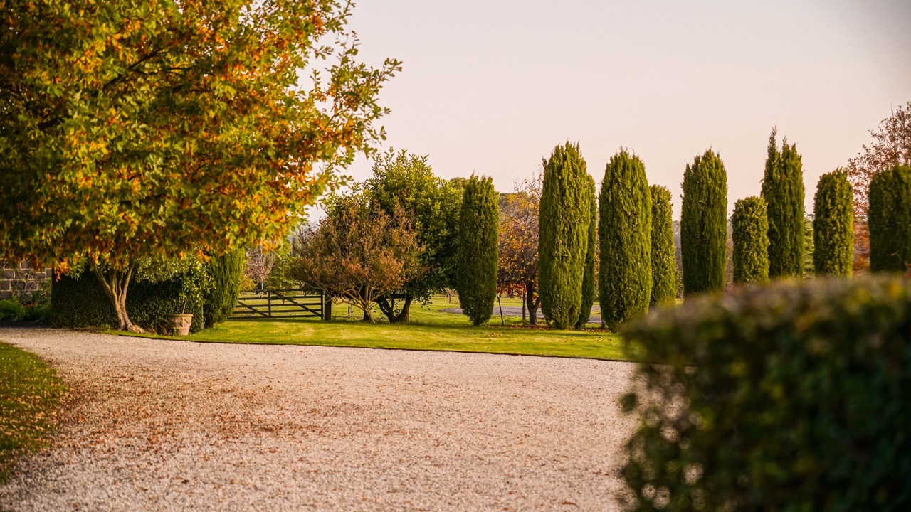 Photo of Outdoor in Kyneton