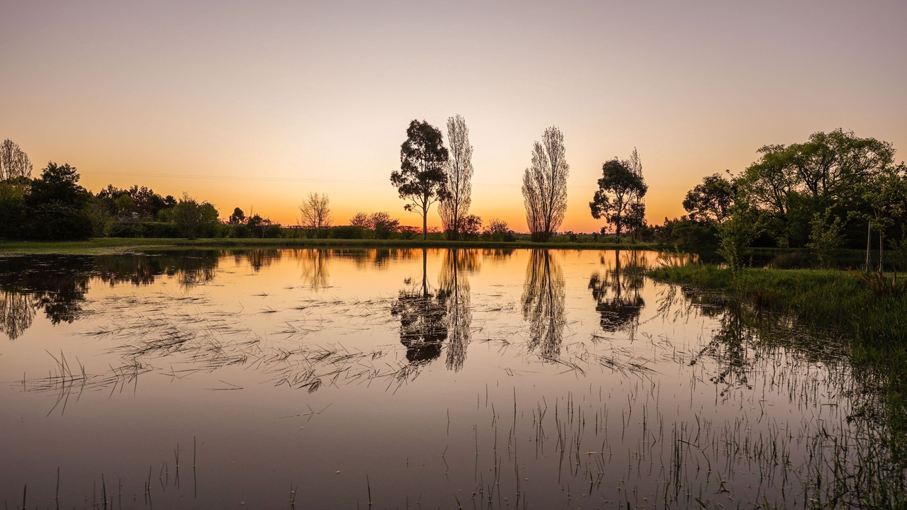 Photo of Outdoor in Kyneton
