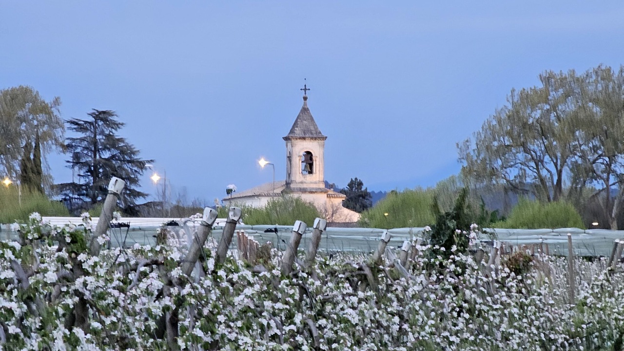 Photo of Others in Lamotte-du-Rhone