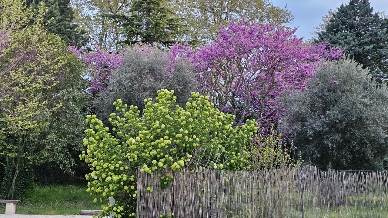 Photo of Outdoor in Lamotte-du-Rhone
