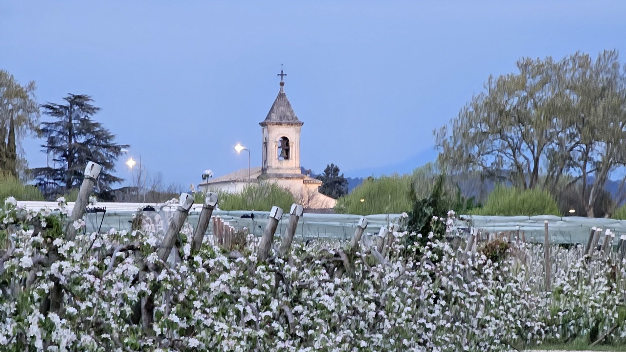 Photo of Others in Lamotte-du-Rhone