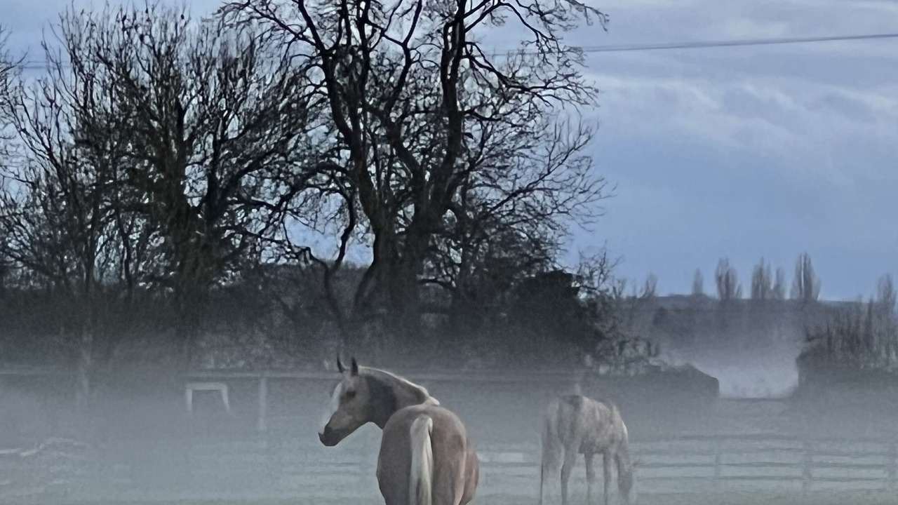 Photo of Others in Alvescot