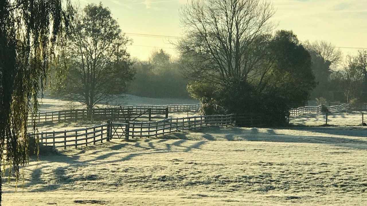 Photo of Others in Alvescot