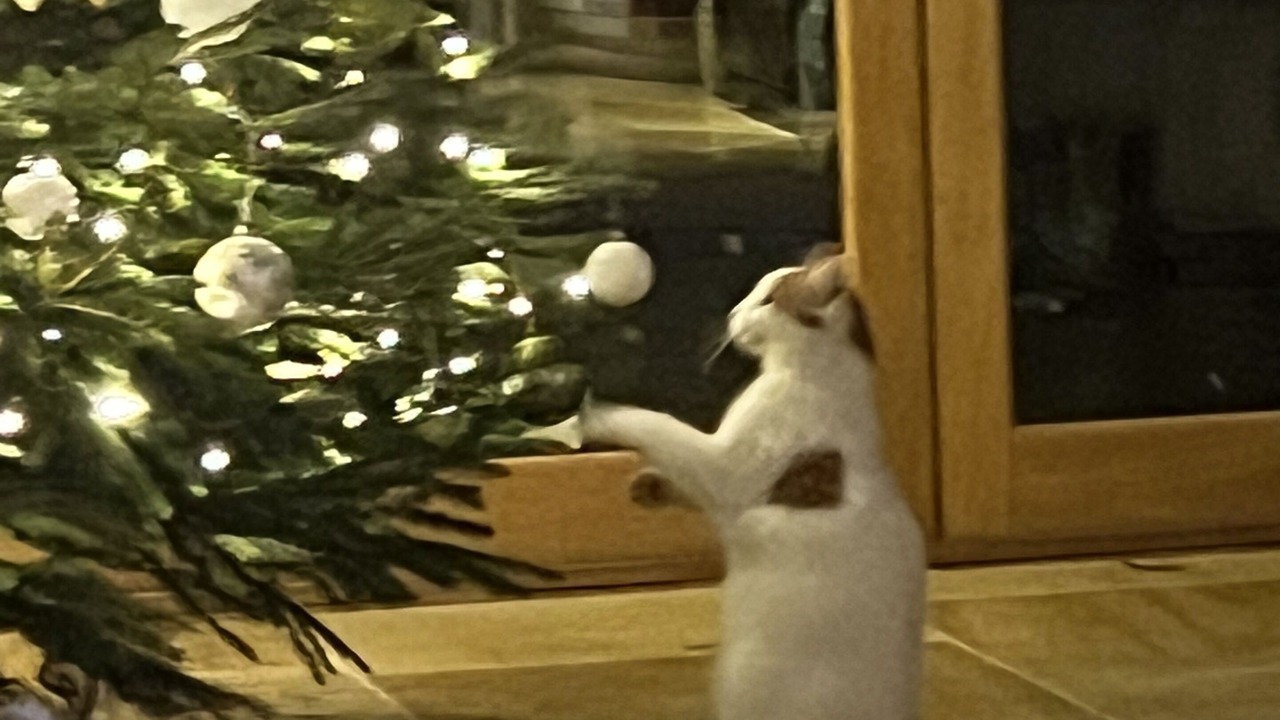 Photo of Others in Alvescot