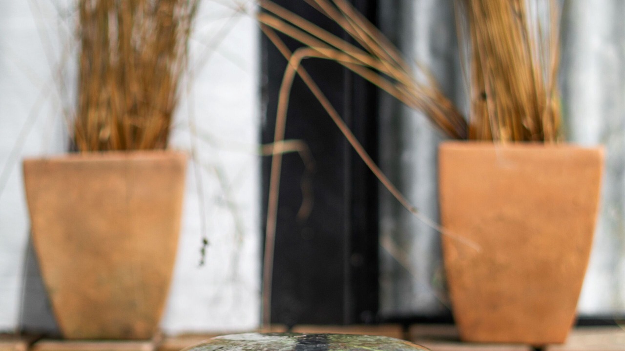 Photo of Outdoor in Heyfield