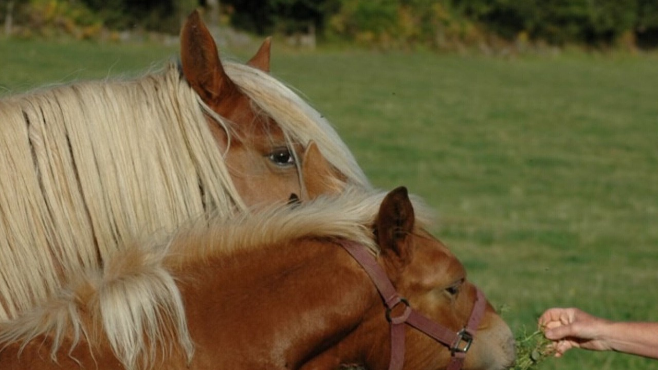 Photo of Others in Badailhac