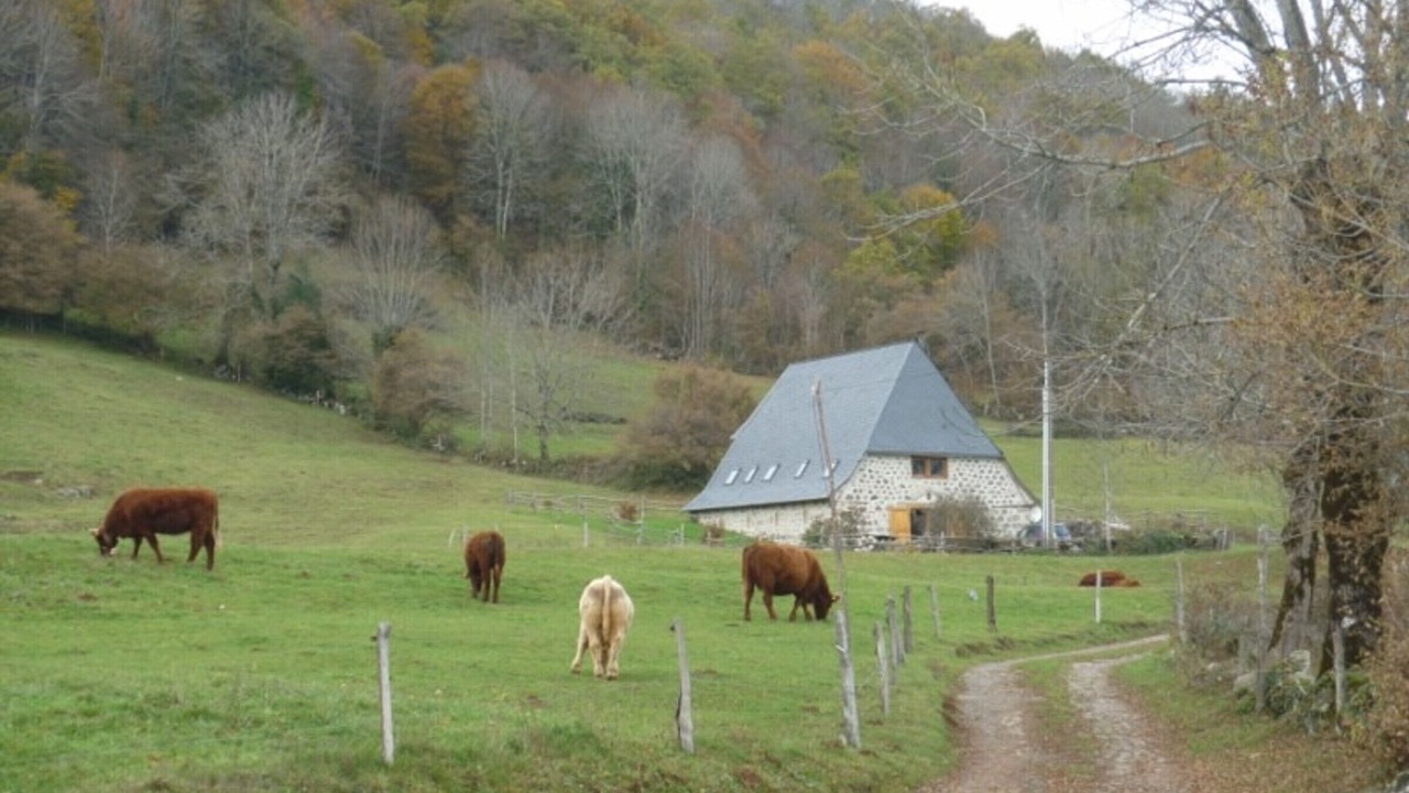 Photo of Others in Badailhac
