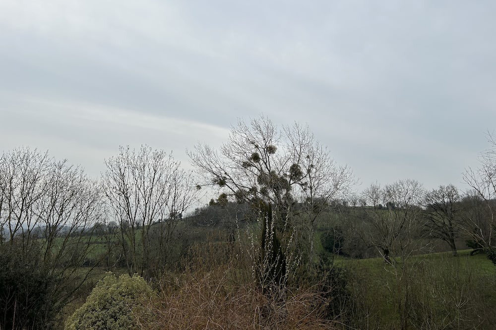 Photo of Outdoor in Saint-Michel-Mont-Mercure