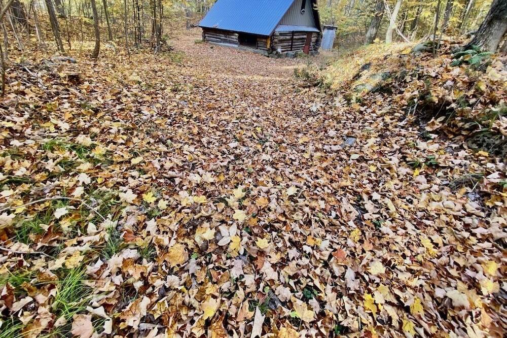 Photo of Outdoor in Tweed