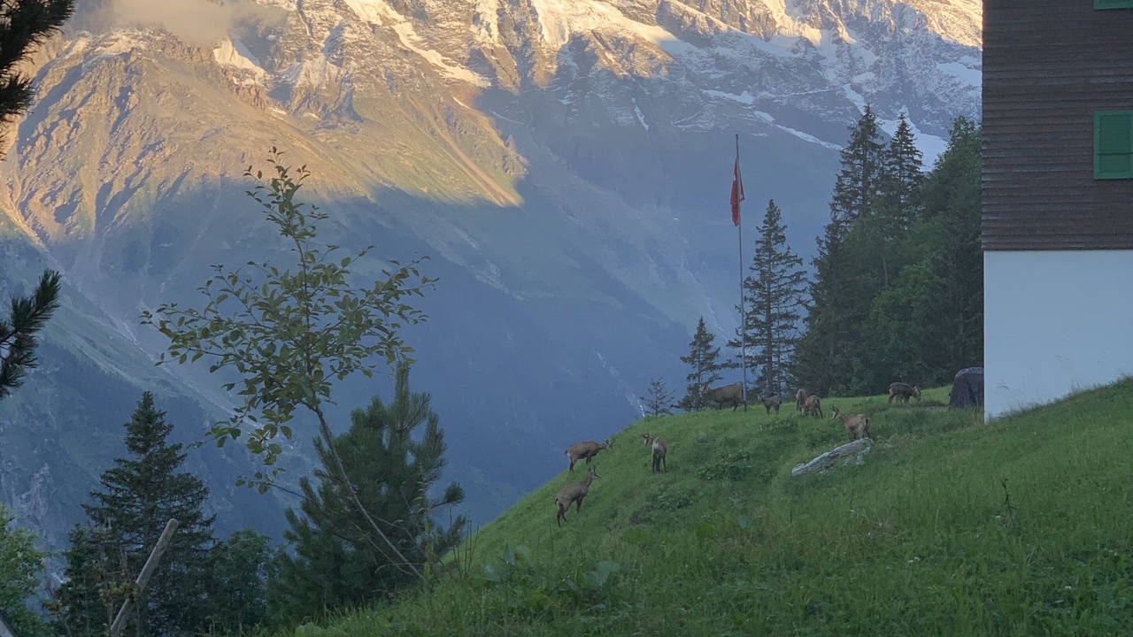 Photo of Outdoor in Murren