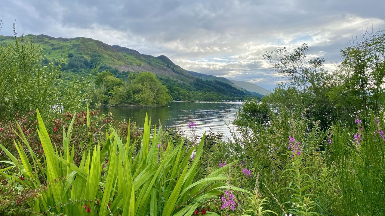 Photo of Others in St Fillans