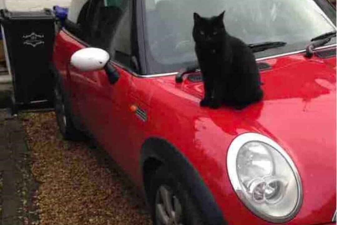 Photo of Outdoor in Banbury