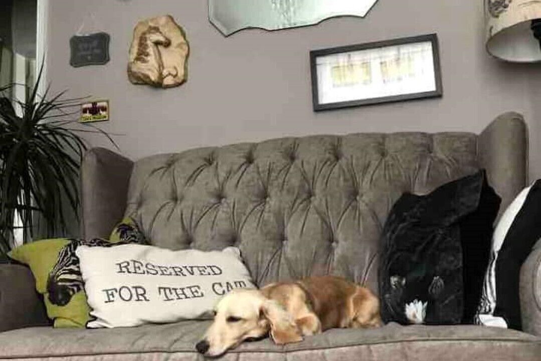 Photo of Livingroom in Banbury