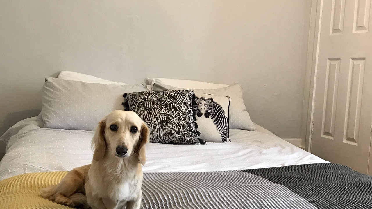 Photo of Others in Banbury