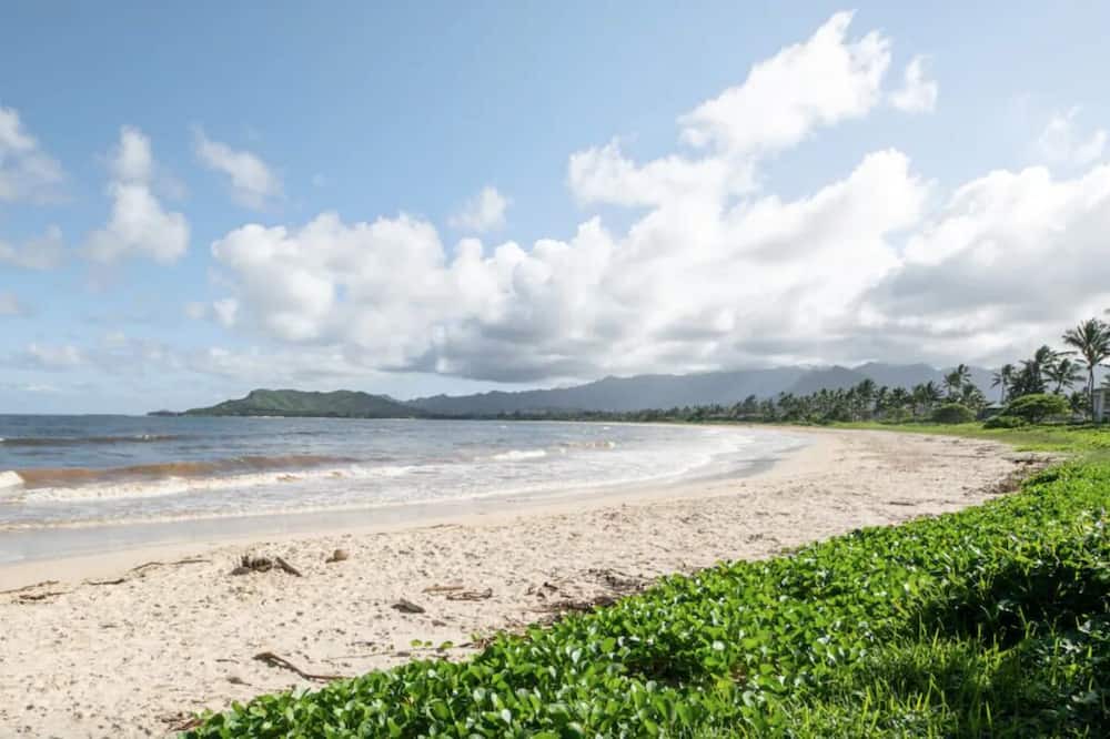 Photo of Others in Kailua